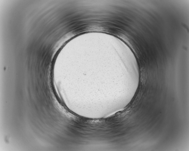 X0000102011139200808151245