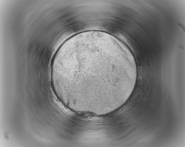 X0000102011140200808151245