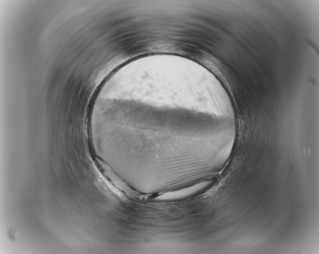 X0000102011141200808151245