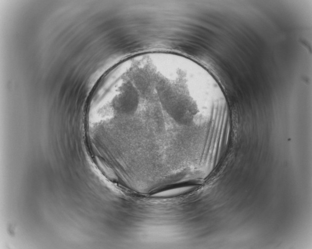 X0000102011142200808151246