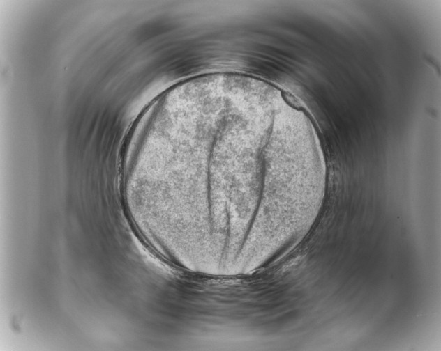 X0000102011143200808151246