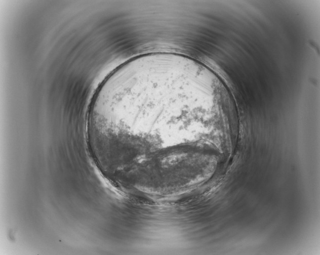 X0000102011144200808151246