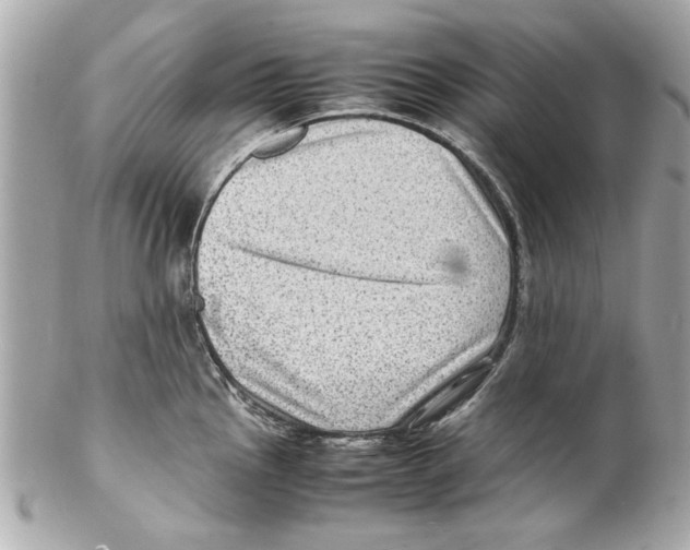 X0000102011145200808151246