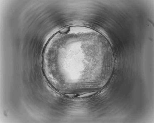 X0000102011146200808151246