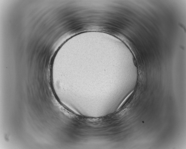 X0000102011147200808151246