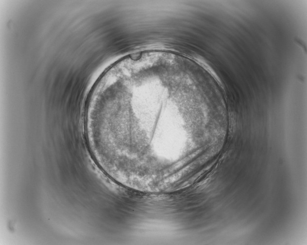 X0000102011148200808151246