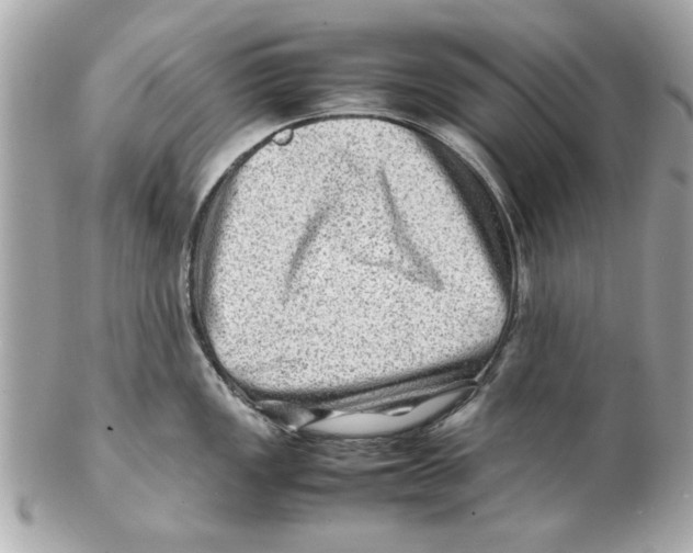 X0000102011149200808151246