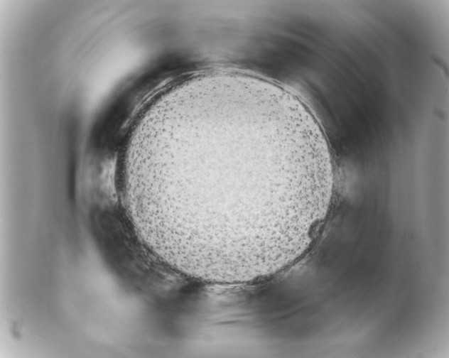 X0000102011150200808151246