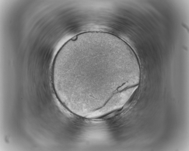 X0000102011152200808151246