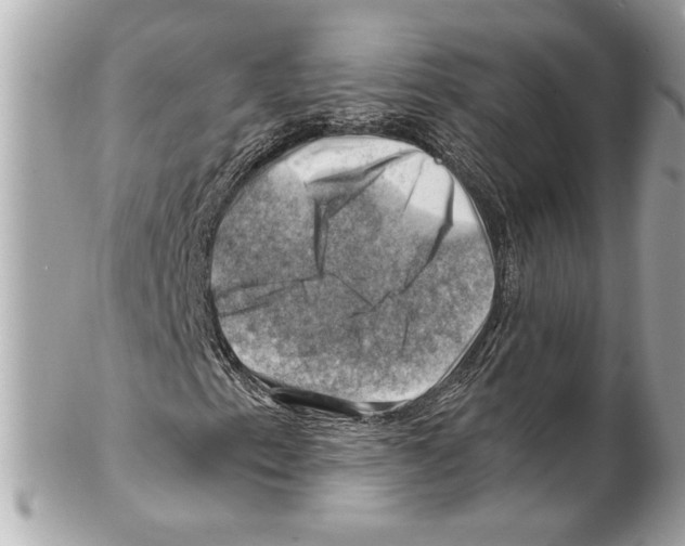 X0000102011153200808151245