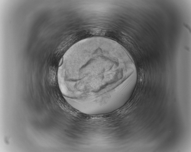 X0000102011154200808151245