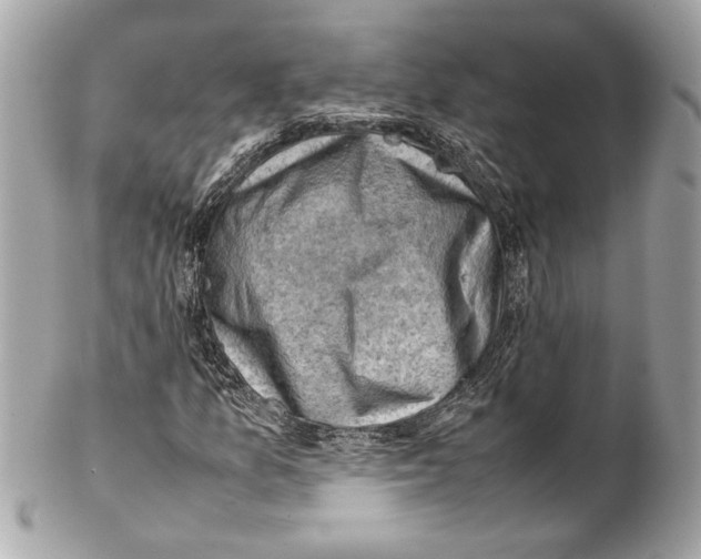 X0000102011157200808151245