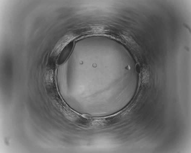 X0000102011161200808151245