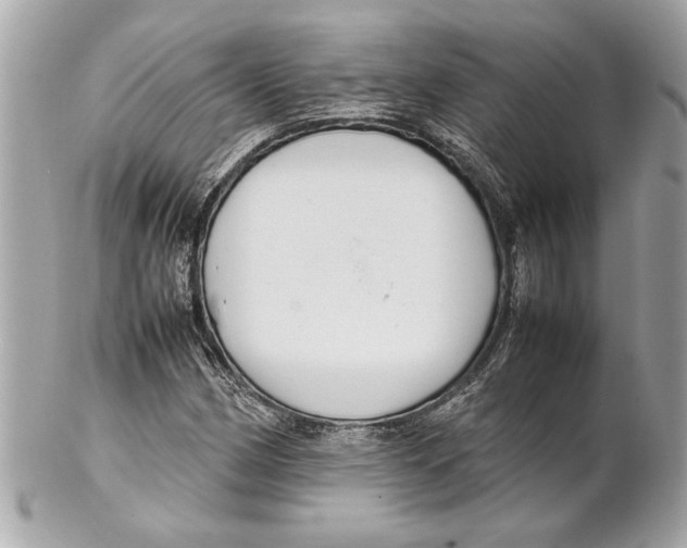 X0000102011162200808151245