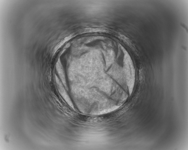 X0000102011165200808151245