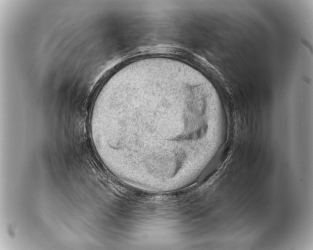 X0000102011166200808151245