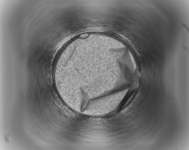 X0000102011168200808151245