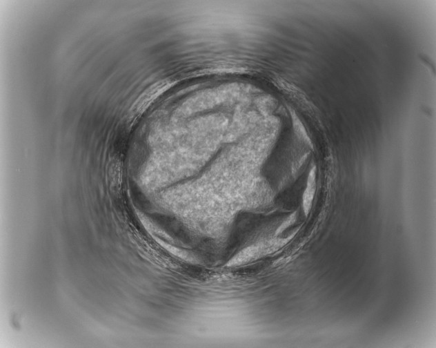 X0000102011169200808151245