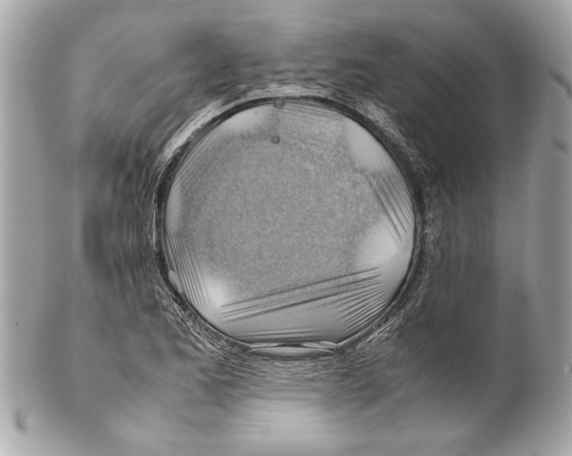 X0000102011173200808151245