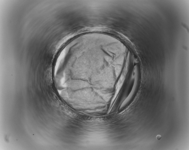 X0000102011174200808151245