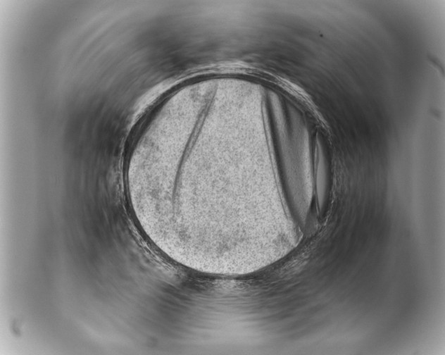 X0000102011176200808151245