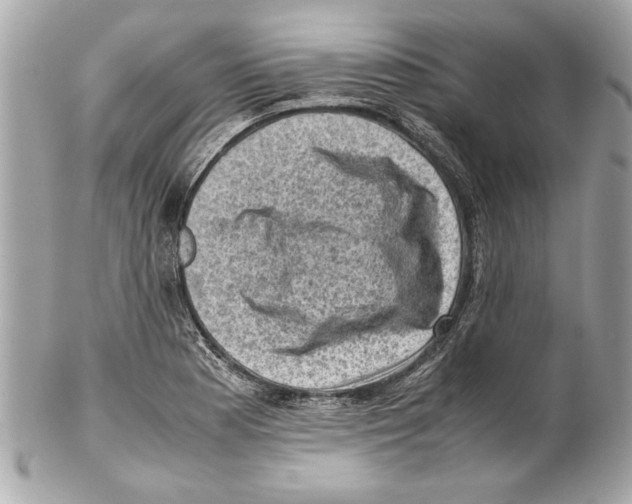 X0000102011177200808151245