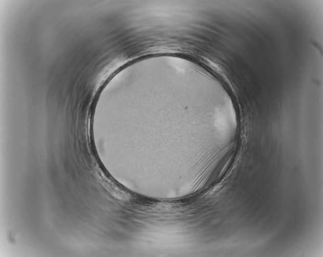 X0000102011179200808151245