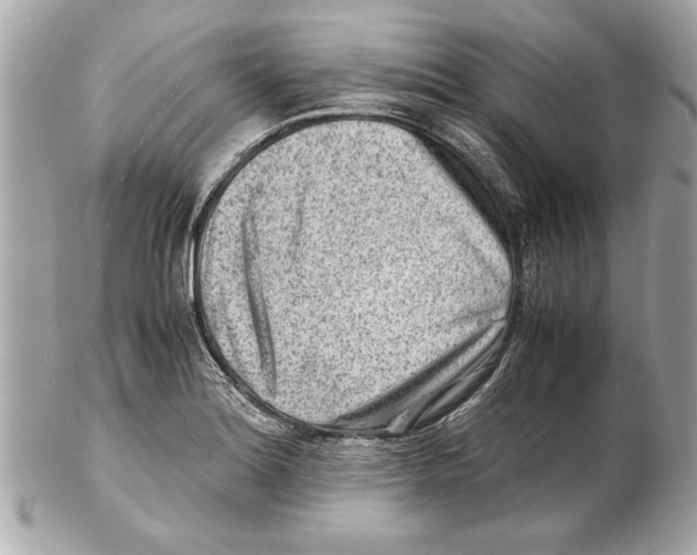 X0000102011180200808151245