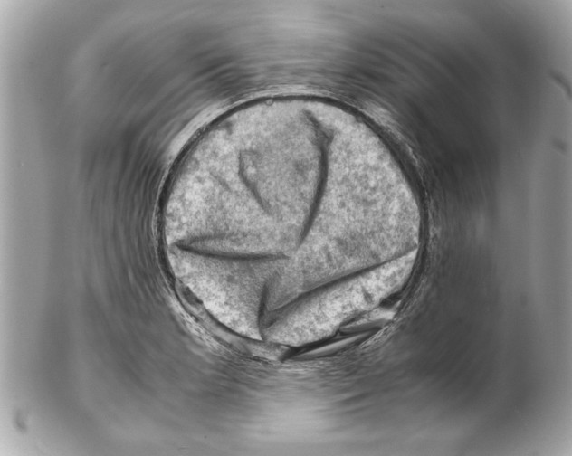 X0000102011181200808151245