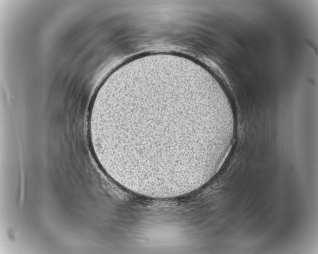 X0000102011183200808151245