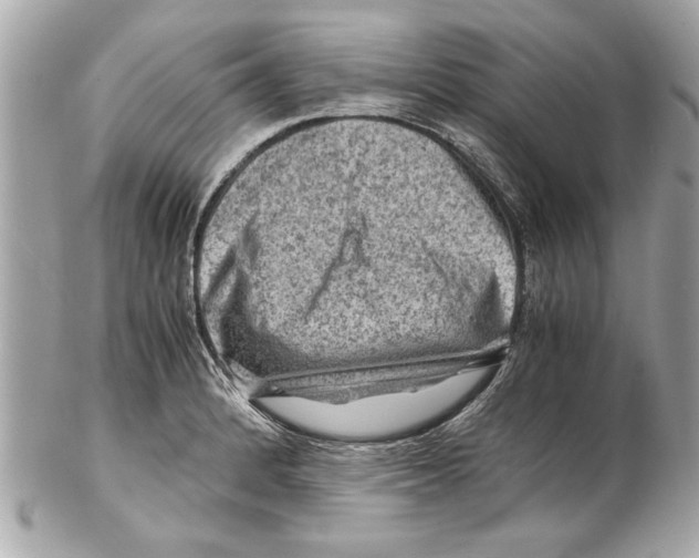 X0000102011184200808151245