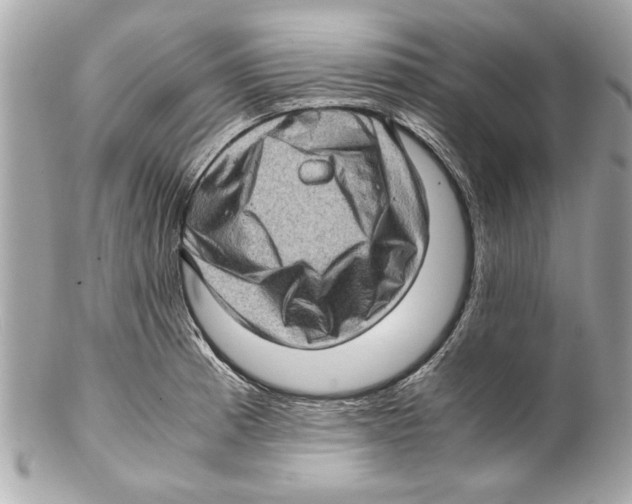 X0000102011185200808151245