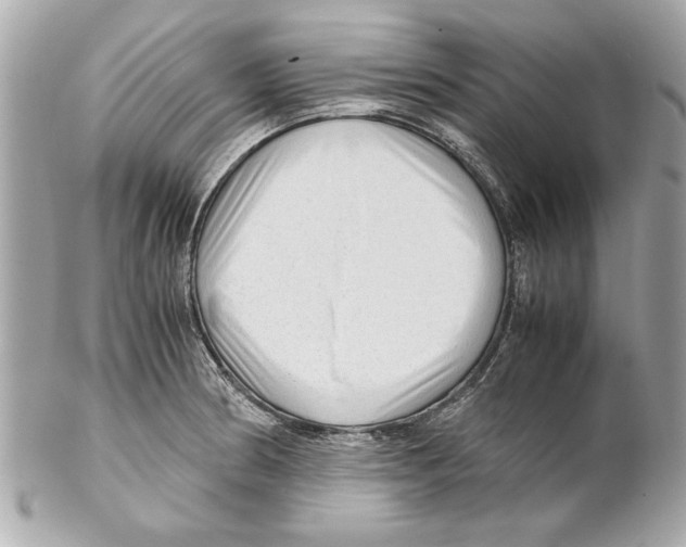 X0000102011186200808151245