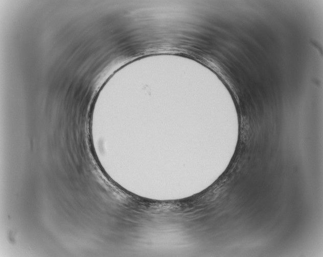 X0000102011187200808151245