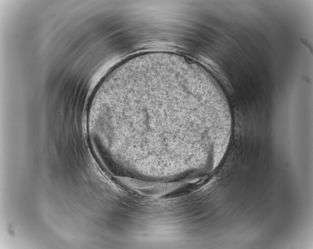 X0000102011188200808151244