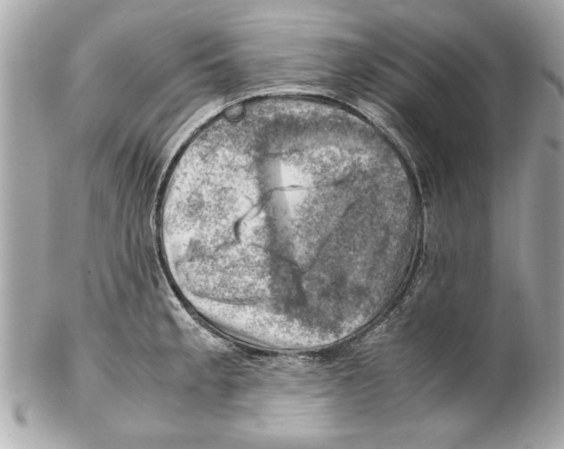 X0000102011189200808151244