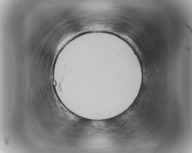 X0000102011191200808151244