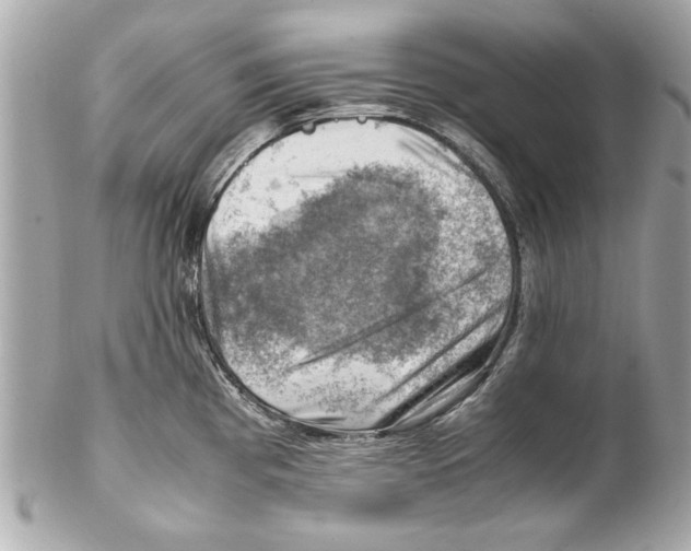 X0000102011193200808151244