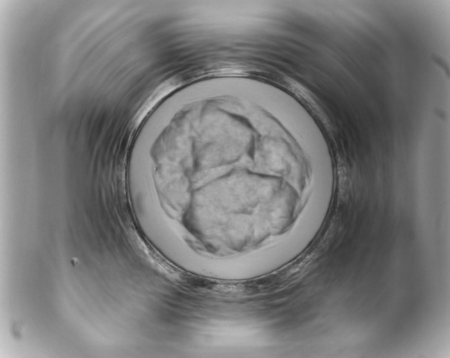 X0000102011194200808151244