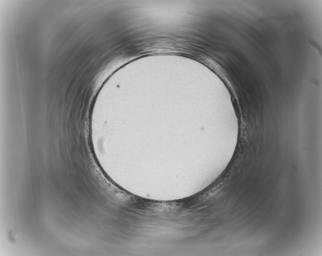 X0000102011195200808151244