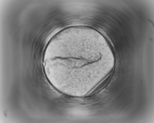 X0000102011197200808151244