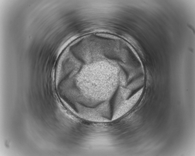 X0000102011198200808151244