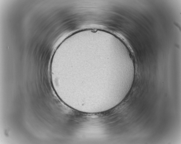 X0000102011199200808151244