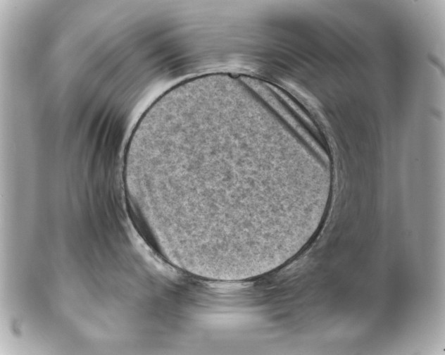 X0000102011200200808151244