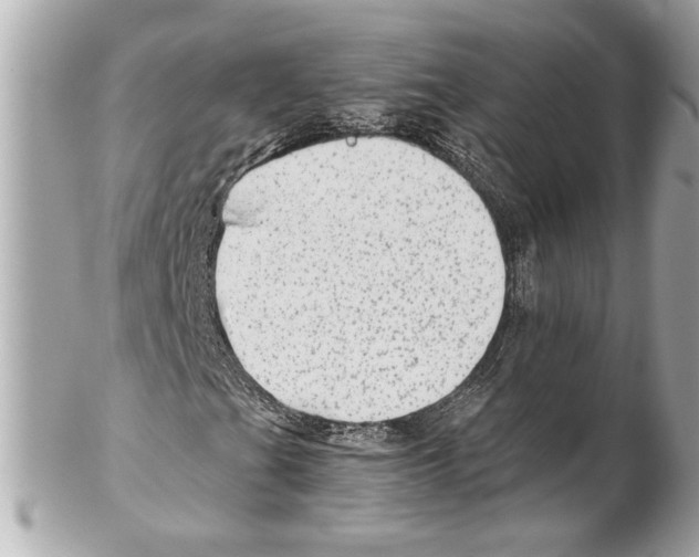 X0000102011201200808151243