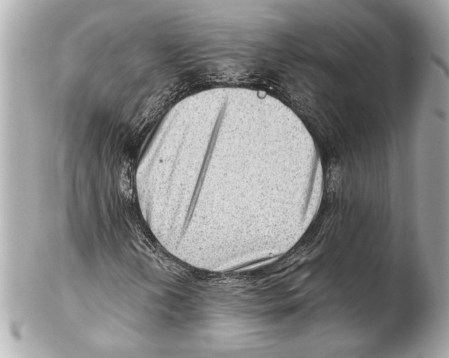 X0000102011202200808151243