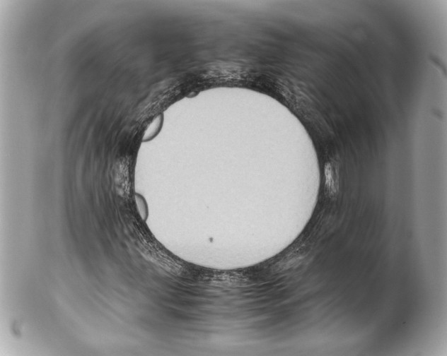 X0000102011203200808151244