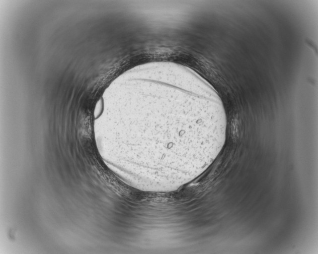 X0000102011204200808151244