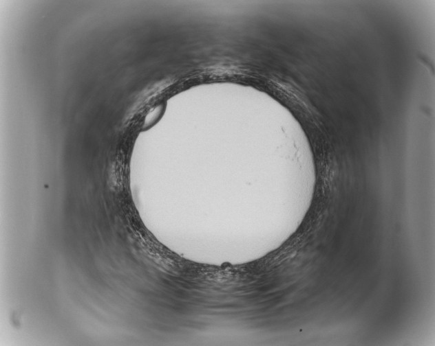 X0000102011207200808151244