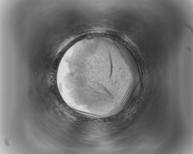 X0000102011208200808151244